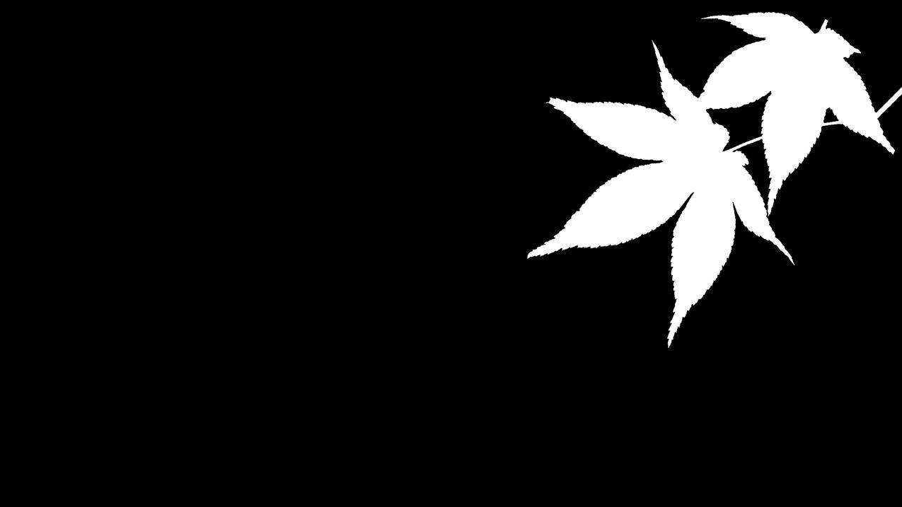hero-image